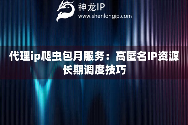 代理ip爬蟲包月服務(wù)：高匿名IP資源長期調(diào)度技巧