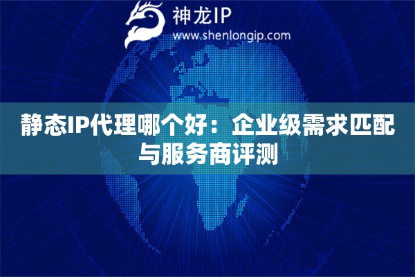 靜態(tài)IP代理哪個好：企業(yè)級需求匹配與服務(wù)商評測