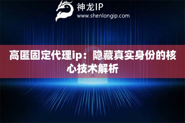 高匿固定代理ip：隱藏真實身份的核心技術解析