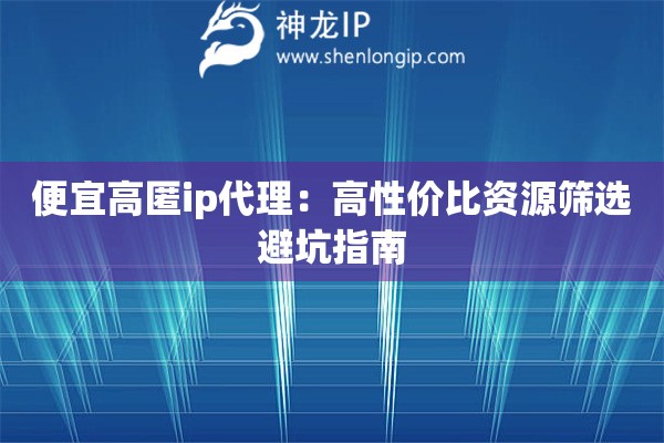 便宜高匿ip代理：高性價比資源篩選避坑指南