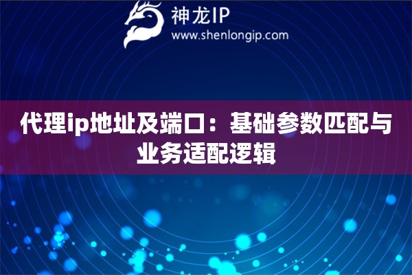 代理ip地址及端口：基礎(chǔ)參數(shù)匹配與業(yè)務(wù)適配邏輯