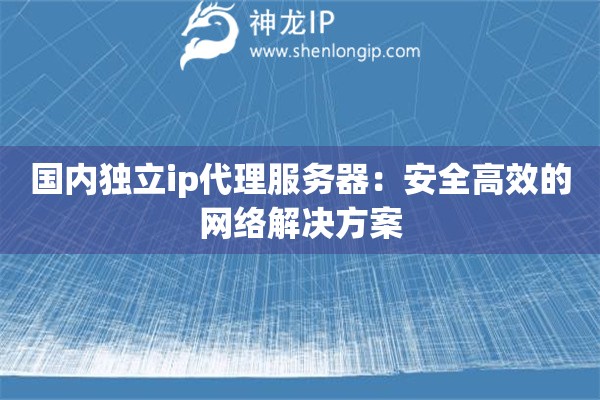 國內(nèi)獨立ip代理服務(wù)器：安全高效的網(wǎng)絡(luò)解決方案