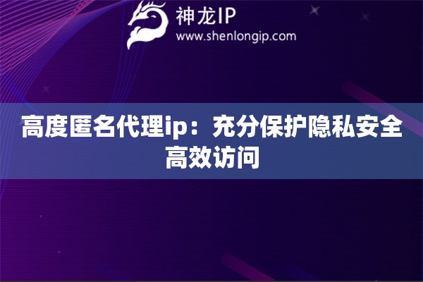 高度匿名代理ip：充分保護(hù)隱私安全高效訪問