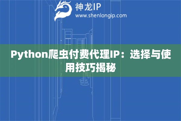 Python爬蟲付費(fèi)代理IP：選擇與使用技巧揭秘
