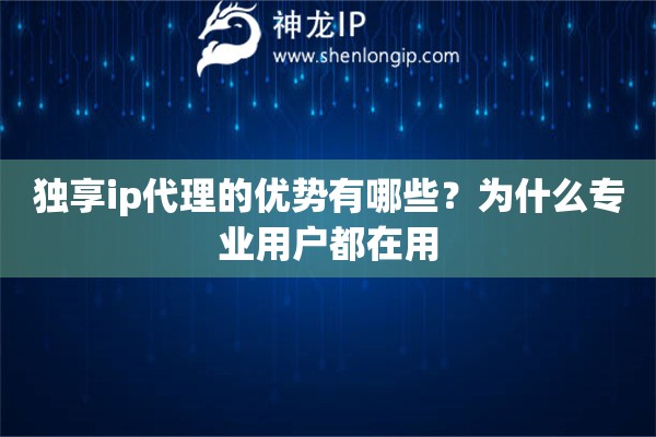 獨(dú)享ip代理的優(yōu)勢有哪些？為什么專業(yè)用戶都在用