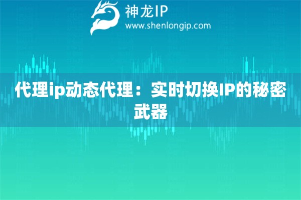 代理ip動態(tài)代理：實時切換IP的秘密武器