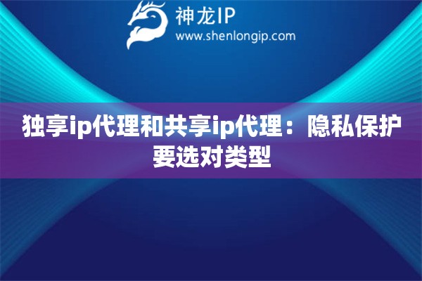 獨(dú)享ip代理和共享ip代理：隱私保護(hù)要選對(duì)類型
