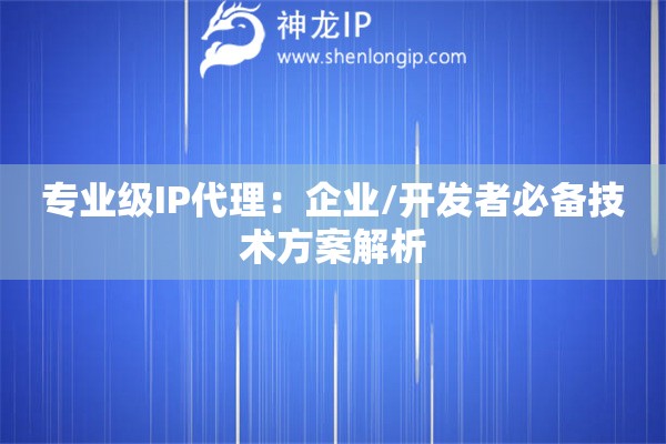 專業(yè)級IP代理：企業(yè)/開發(fā)者必備技術(shù)方案解析