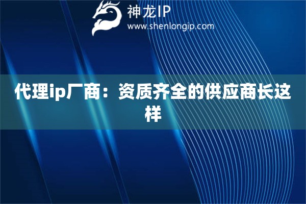 代理ip廠商：資質(zhì)齊全的供應(yīng)商長這樣