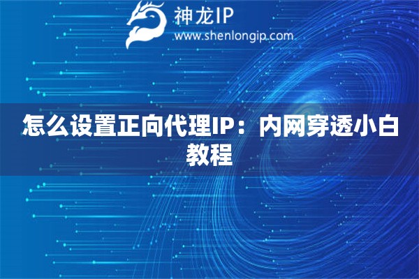 怎么設(shè)置正向代理IP：內(nèi)網(wǎng)穿透小白教程