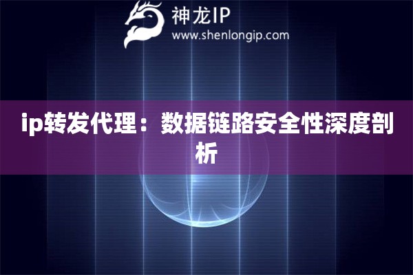 ip轉(zhuǎn)發(fā)代理：數(shù)據(jù)鏈路安全性深度剖析