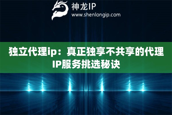 獨(dú)立代理ip：真正獨(dú)享不共享的代理IP服務(wù)挑選秘訣