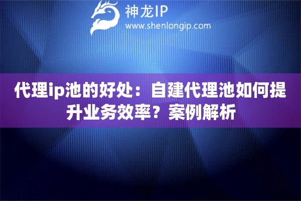 代理ip池的好處：自建代理池如何提升業(yè)務(wù)效率？案例解析