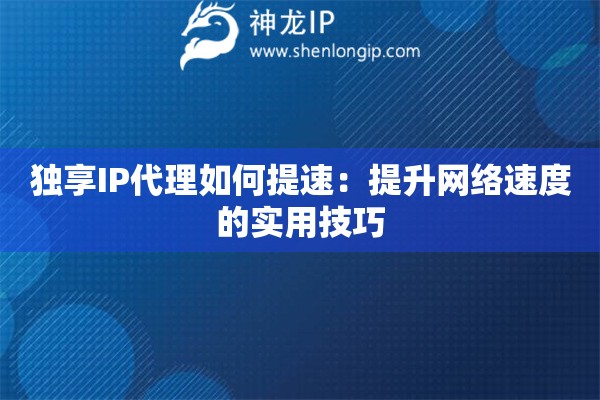 獨享IP代理如何提速：提升網絡速度的實用技巧