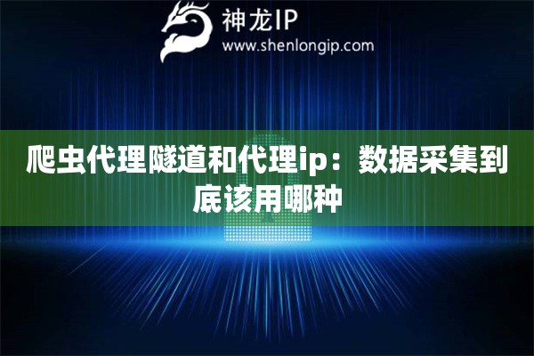 爬蟲代理隧道和代理ip：數(shù)據(jù)采集到底該用哪種