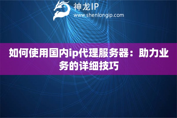 如何使用國內(nèi)ip代理服務(wù)器：助力業(yè)務(wù)的詳細(xì)技巧