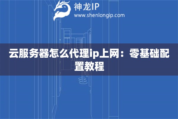 云服務(wù)器怎么代理ip上網(wǎng)：零基礎(chǔ)配置教程