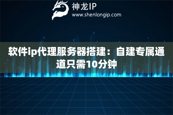 軟件ip代理服務(wù)器搭建：自建專屬通道只需10分鐘