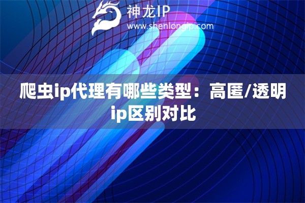 爬蟲(chóng)ip代理有哪些類型：高匿/透明ip區(qū)別對(duì)比