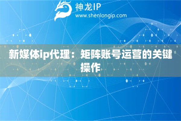 新媒體ip代理：矩陣賬號運營的關(guān)鍵操作