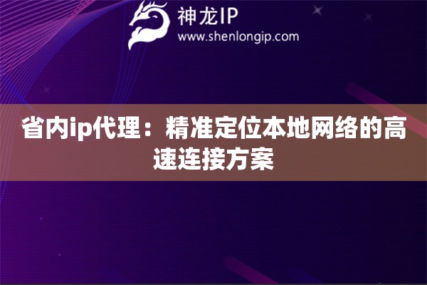 省內(nèi)ip代理：精準(zhǔn)定位本地網(wǎng)絡(luò)的高速連接方案