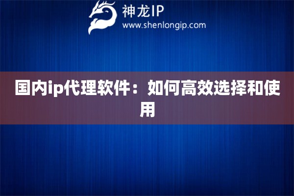 國內(nèi)ip代理軟件：如何高效選擇和使用