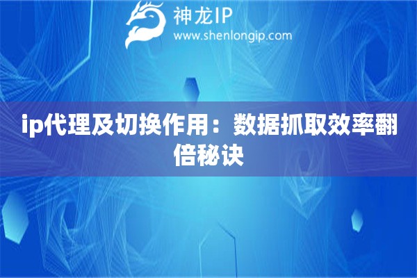 ip代理及切換作用：數(shù)據(jù)抓取效率翻倍秘訣