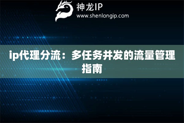 ip代理分流：多任務(wù)并發(fā)的流量管理指南