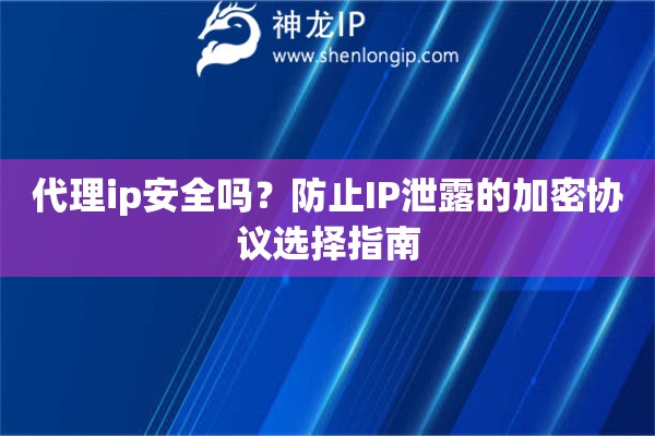 代理ip安全嗎？防止IP泄露的加密協(xié)議選擇指南