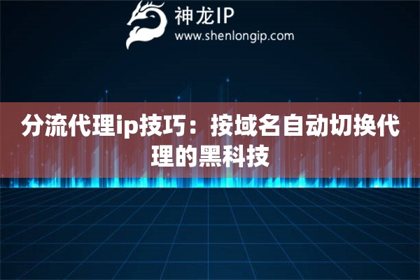 分流代理ip技巧：按域名自動(dòng)切換代理的黑科技