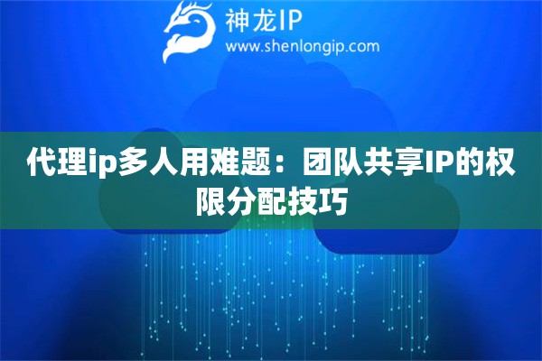 代理ip多人用難題：團隊共享IP的權限分配技巧