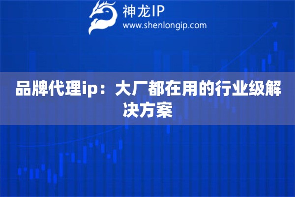 品牌代理ip：大廠都在用的行業(yè)級(jí)解決方案
