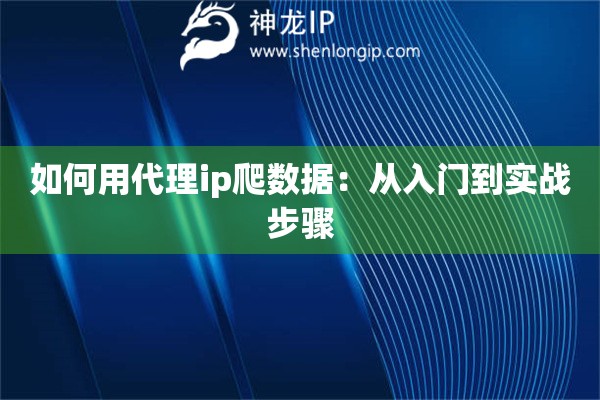 如何用代理ip爬數(shù)據(jù)：從入門到實(shí)戰(zhàn)步驟