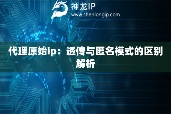 代理原始ip：透傳與匿名模式的區(qū)別解析