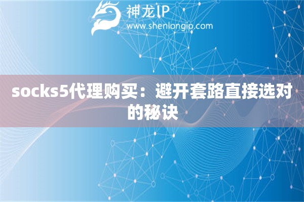 socks5代理購買：避開套路直接選對的秘訣