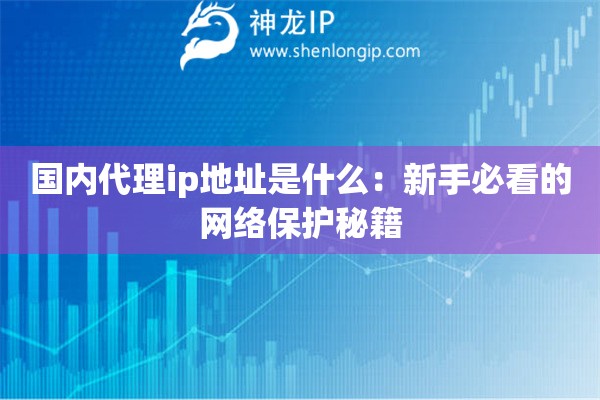 國內(nèi)代理ip地址是什么：新手必看的網(wǎng)絡(luò)保護(hù)秘籍