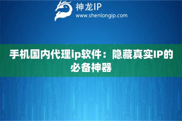 手機(jī)國內(nèi)代理ip軟件：隱藏真實(shí)IP的必備神器