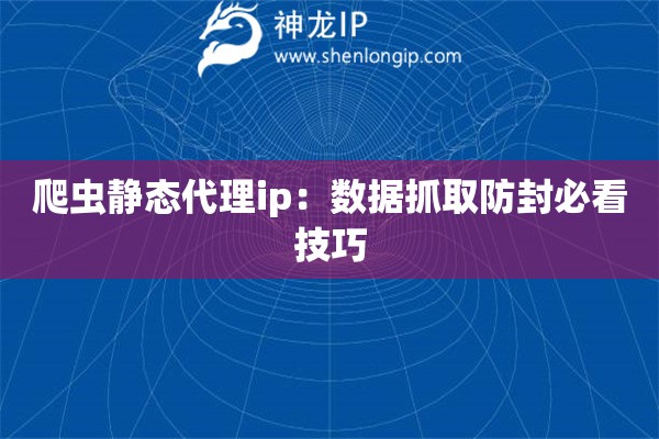 爬蟲靜態(tài)代理ip：數(shù)據(jù)抓取防封必看技巧