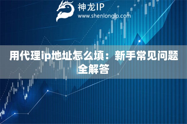 用代理ip地址怎么填：新手常見問題全解答