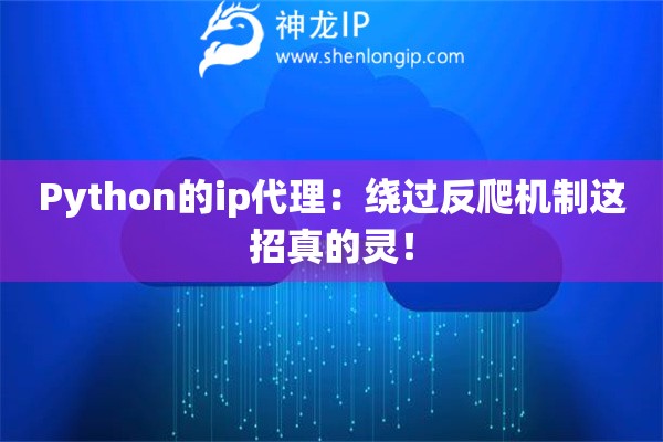 Python的ip代理：繞過反爬機(jī)制這招真的靈！