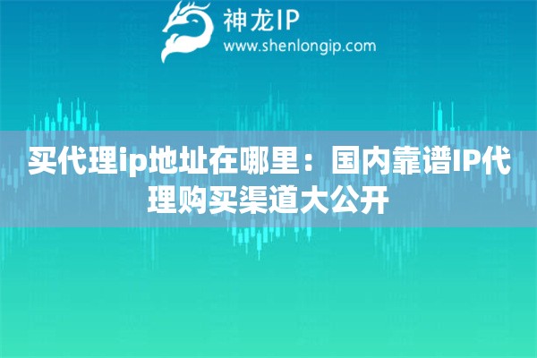 買代理ip地址在哪里：國內(nèi)靠譜IP代理購買渠道大公開