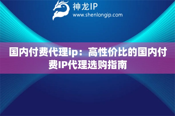 國(guó)內(nèi)付費(fèi)代理ip：高性價(jià)比的國(guó)內(nèi)付費(fèi)IP代理選購(gòu)指南
