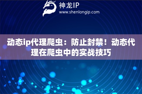 動(dòng)態(tài)ip代理爬蟲：防止封禁！動(dòng)態(tài)代理在爬蟲中的實(shí)戰(zhàn)技巧