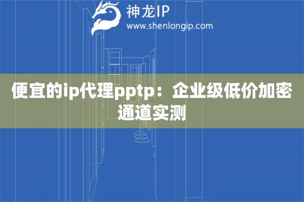 便宜的ip代理pptp：企業(yè)級低價(jià)加密通道實(shí)測