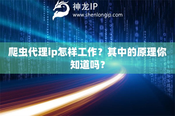 爬蟲代理ip怎樣工作？其中的原理你知道嗎？