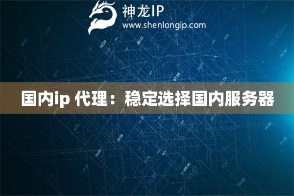 國(guó)內(nèi)ip 代理：穩(wěn)定選擇國(guó)內(nèi)服務(wù)器