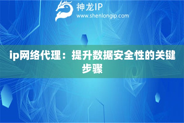 ip網(wǎng)絡(luò)代理：提升數(shù)據(jù)安全性的關(guān)鍵步驟