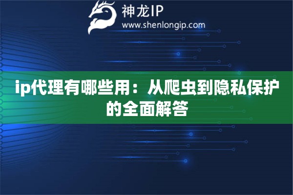 ip代理有哪些用：從爬蟲到隱私保護的全面解答