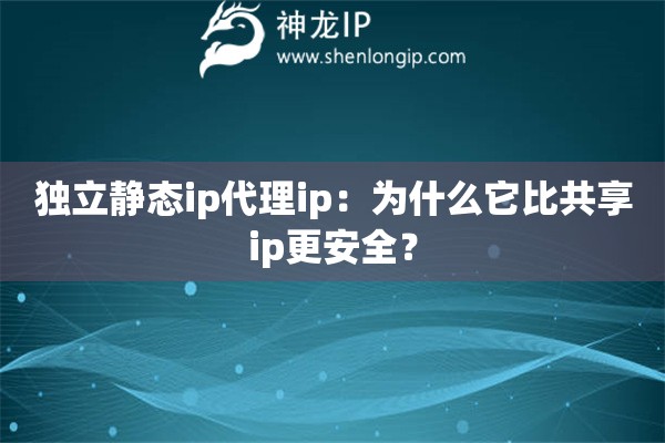 獨立靜態(tài)ip代理ip：為什么它比共享ip更安全？