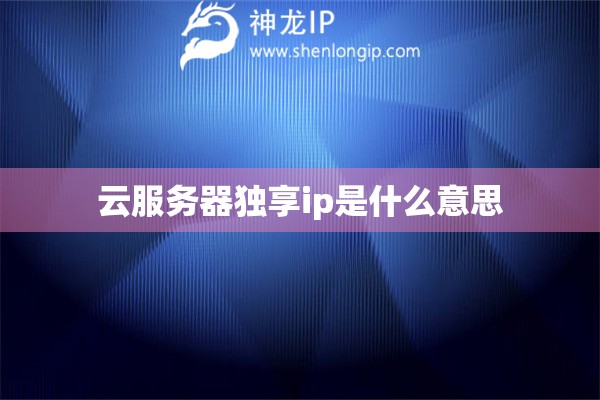 云服務(wù)器獨(dú)享ip是什么意思